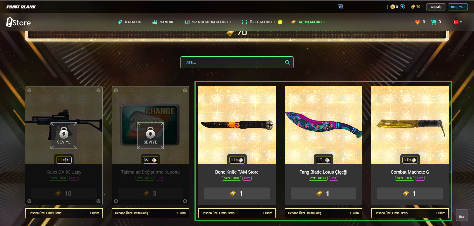 Gold Coin Shop Interface and Shopping Phase - Stage 1